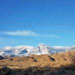 Brown's Millpond Campground