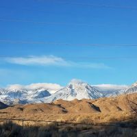 Brown's Millpond Campground ico