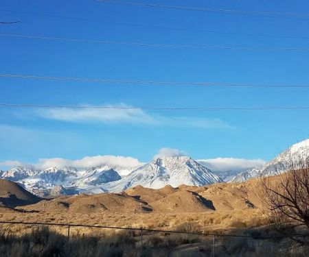 Brown's Millpond Campground