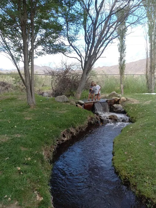 Brown's Millpond Campground Picture 3