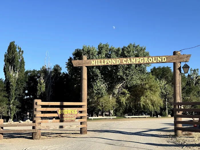 Brown's Millpond Campground Picture 6
