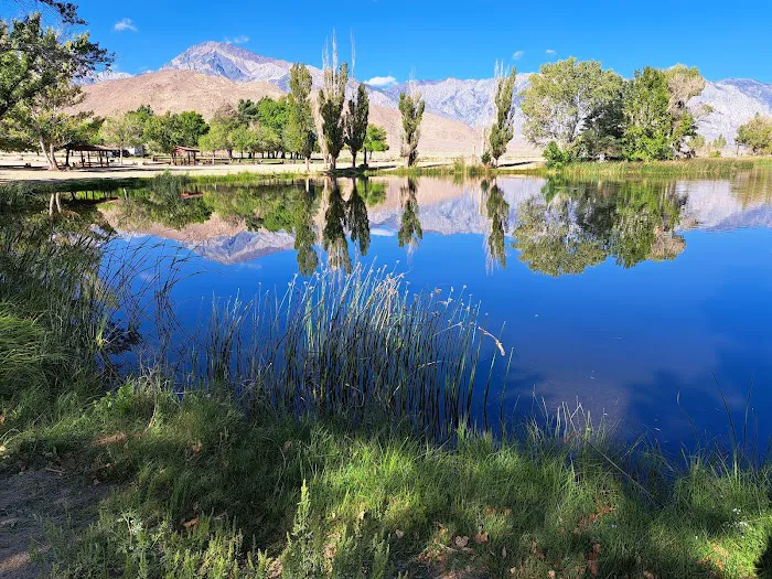 Brown's Millpond Campground Picture 10