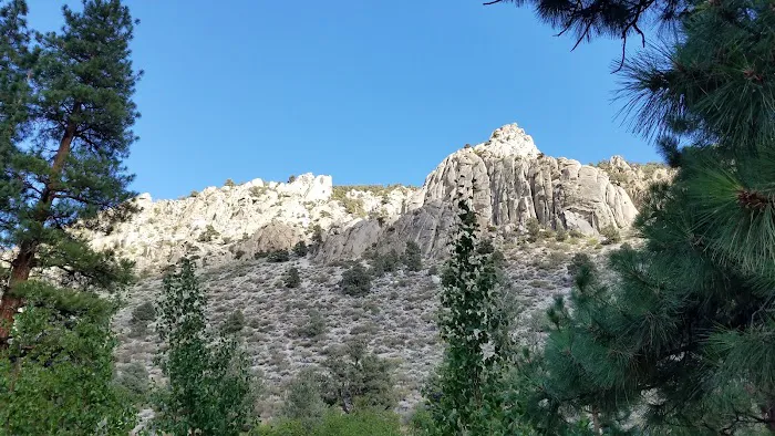 Bitterbrush Campground Picture 7