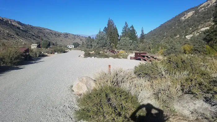 Bitterbrush Campground Picture 1