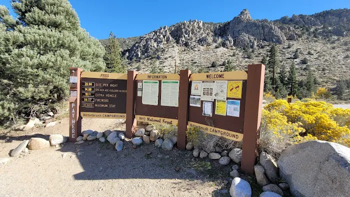 Bitterbrush Campground Picture 2
