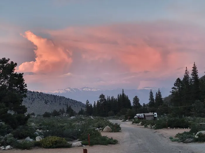 Bitterbrush Campground Picture 6