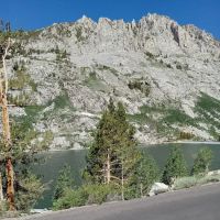 Big Trees Campground ico