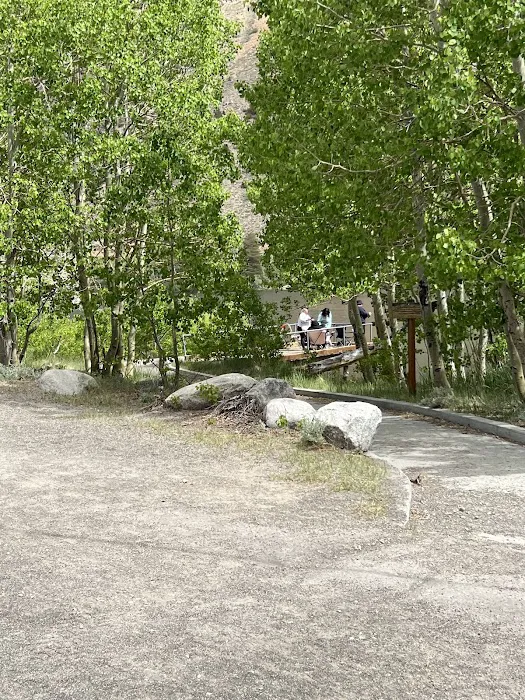 Big Trees Campground Picture 8
