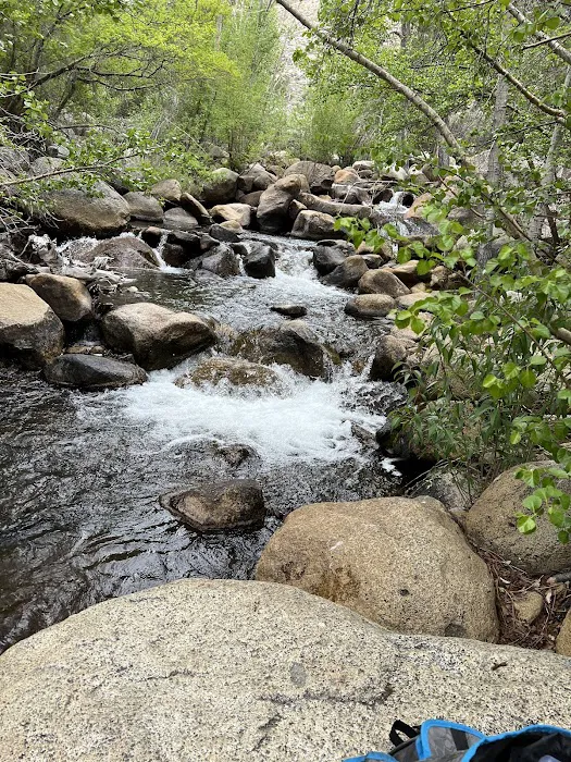 Big Trees Campground Picture 9