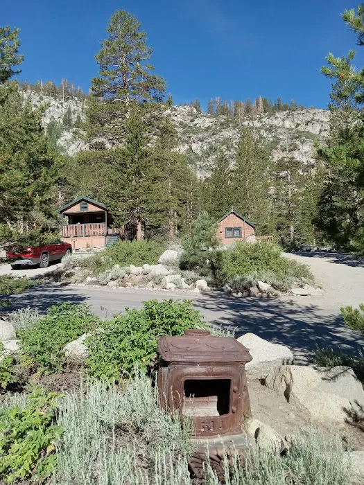 Big Trees Campground Picture 3