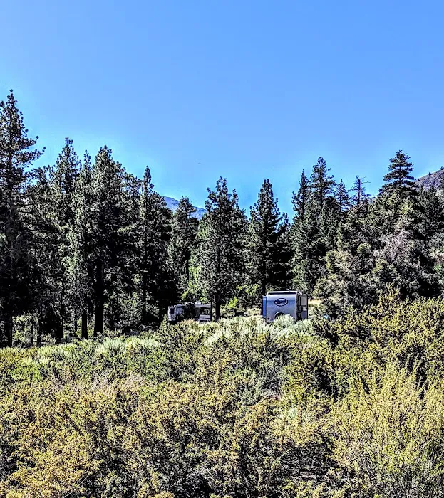 Big Trees Campground Picture 10