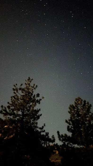 Forks Campground Picture 6