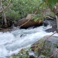 Forks Campground ico