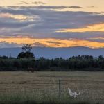 Corning RV Park