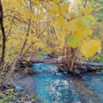 Four Jeffrey Campground