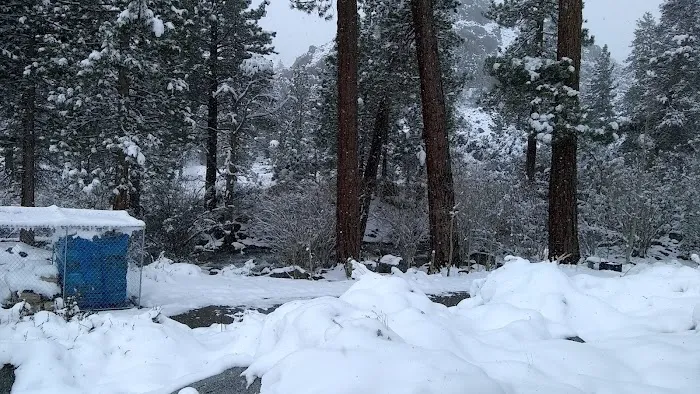 Intake 2 Campground Picture 2
