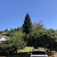 Creekside Village ico