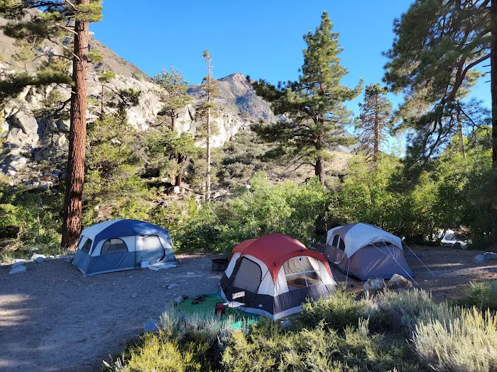 Bishop Park Group Campground Picture 6
