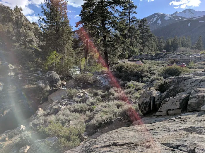 Bishop Park Group Campground Picture 7