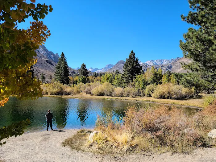 Bishop Park Group Campground Picture 10