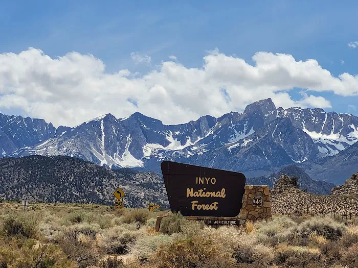 Bishop Park Group Campground Picture 4