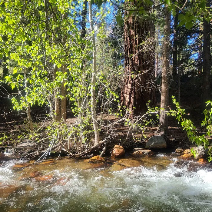 Bishop Park Campground Picture 7
