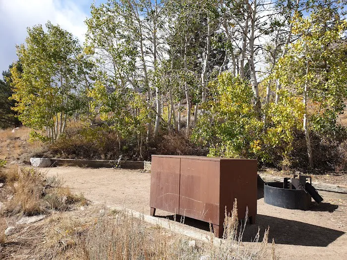 Bishop Park Campground Picture 4