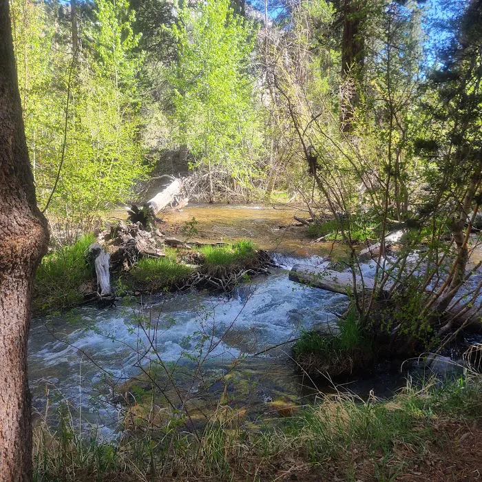 Bishop Park Campground Picture 8