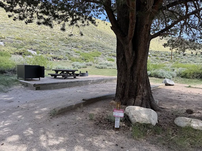 Bishop Park Campground Picture 5
