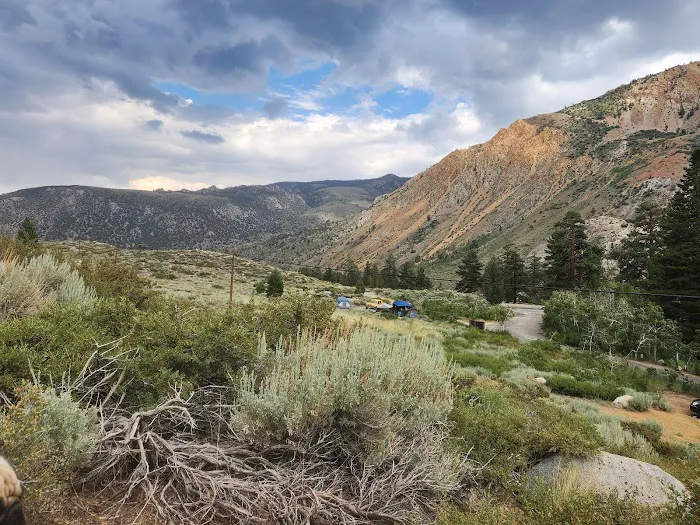 Bishop Park Campground Picture 6