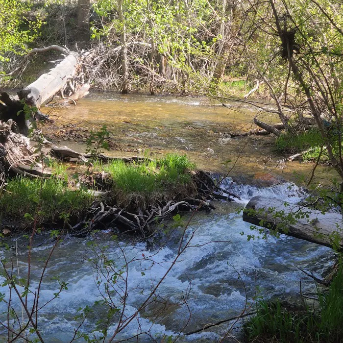Bishop Park Campground Picture 3