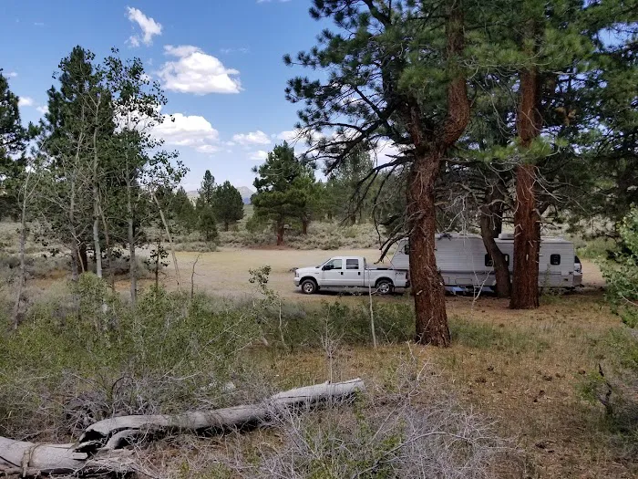 Sagehen Meadows Campground Picture 4