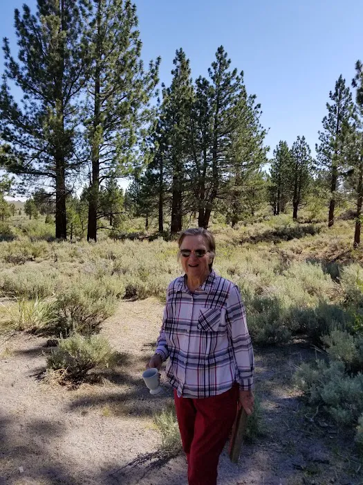 Sagehen Meadows Campground Picture 7