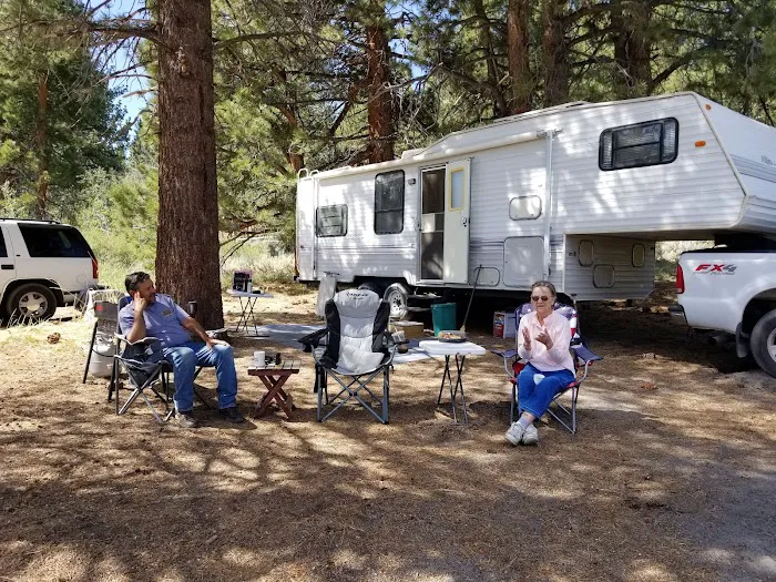 Sagehen Meadows Campground Picture 9