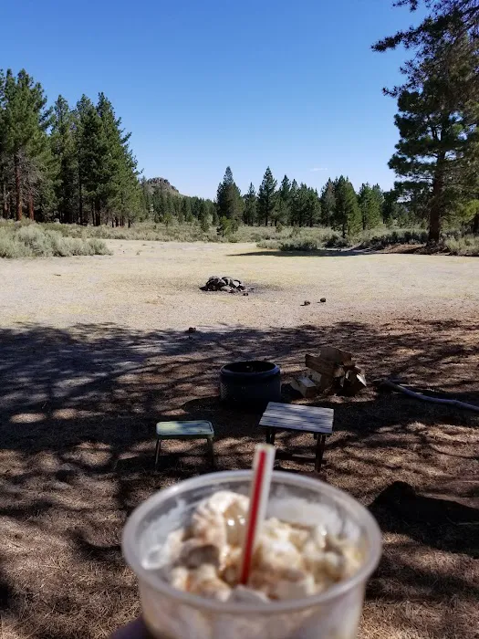 Sagehen Meadows Campground Picture 2