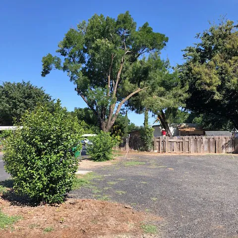 Mountain View Mobile Home Community Picture 8