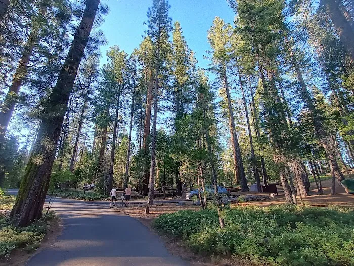 Cherry Valley Campground Picture 5