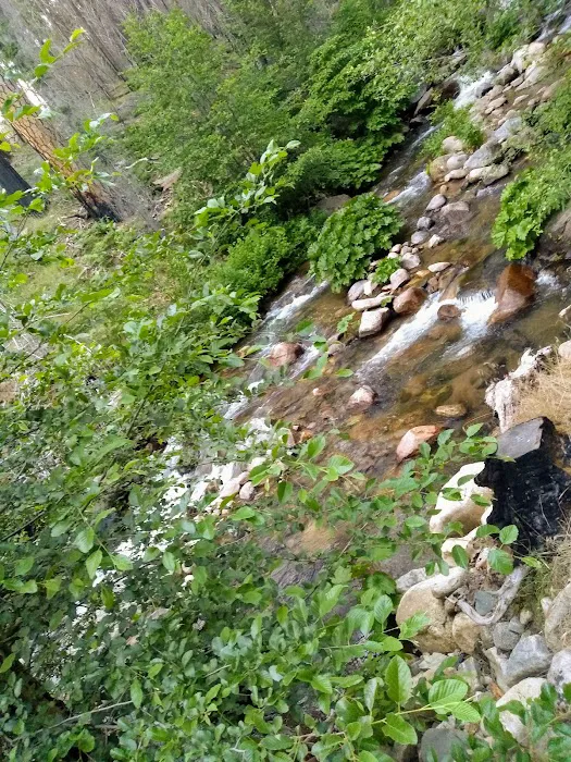Joe Walt Run Campground Picture 9