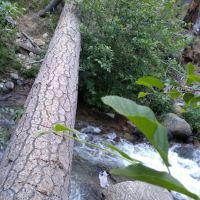 Joe Walt Run Campground ico