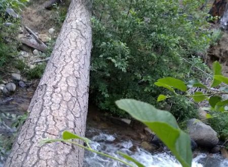 Joe Walt Run Campground