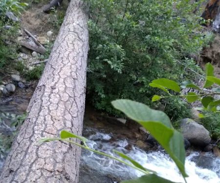 Joe Walt Run Campground
