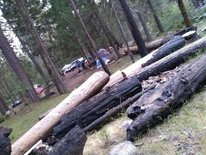 Joe Walt Run Campground Picture 10