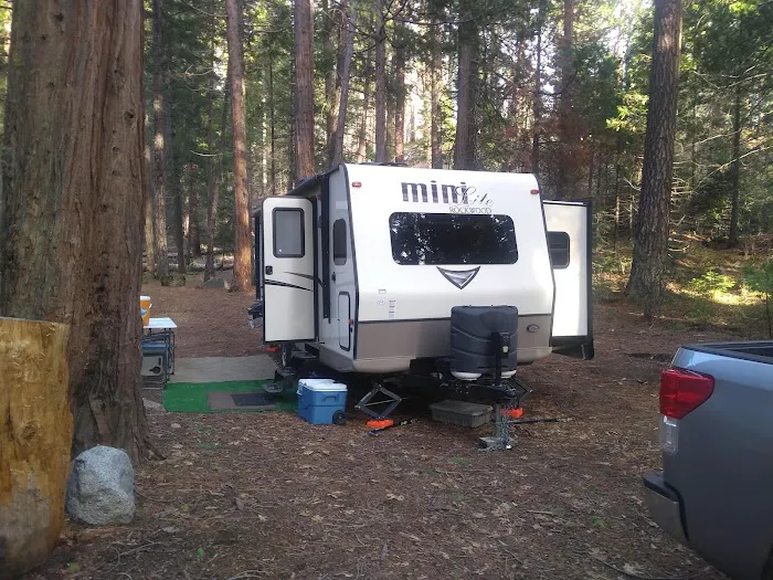 Joe Walt Run Campground Picture 4