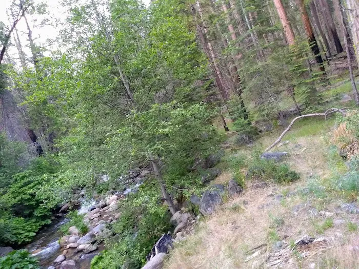 Joe Walt Run Campground Picture 2