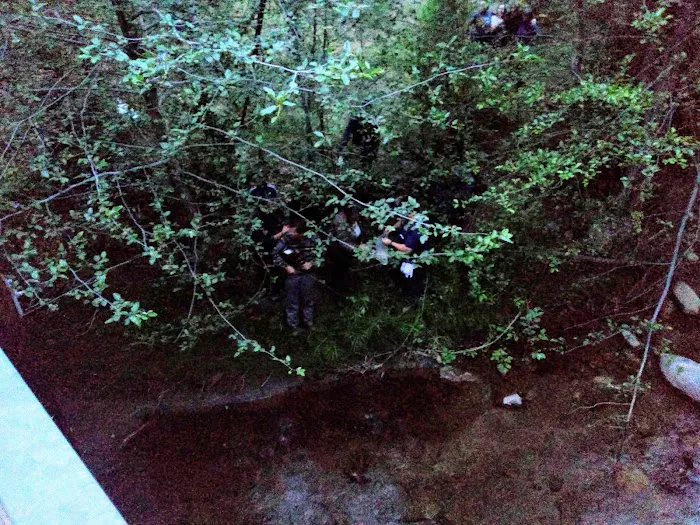 Joe Walt Run Campground Picture 6