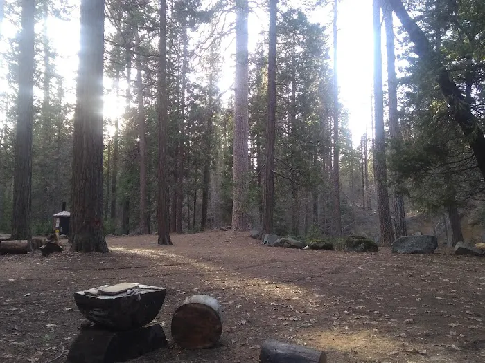 Joe Walt Run Campground Picture 8