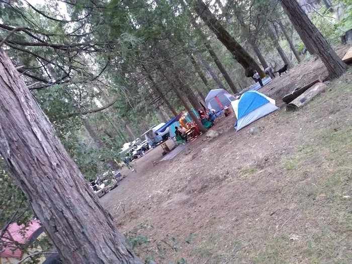 Joe Walt Run Campground Picture 3