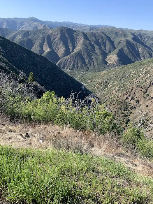South Fork Campground Picture 4