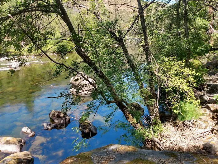 South Fork Campground Picture 9