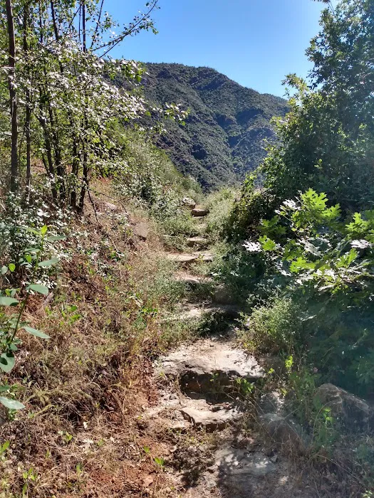 South Fork Campground Picture 1
